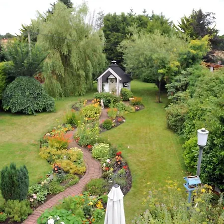 Ivy Steps From National Park