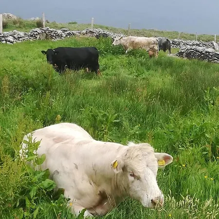 Ivy Steps From National Park *