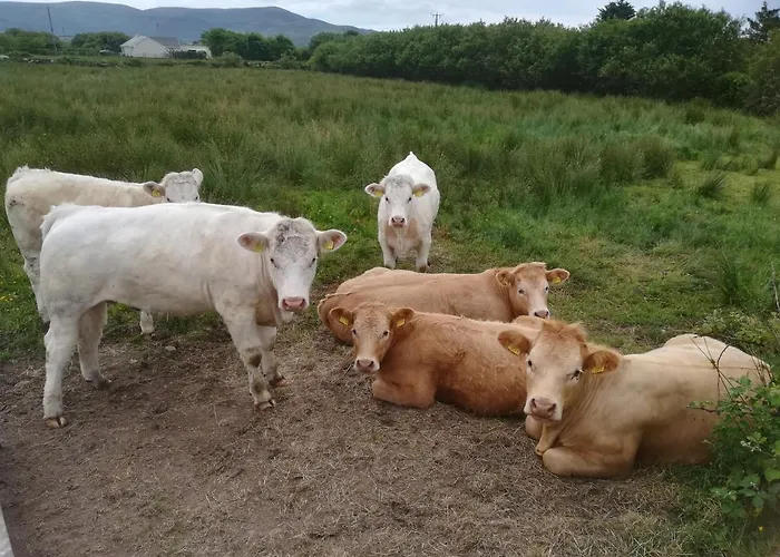 Ivy Steps From National Park بيت للعطل *