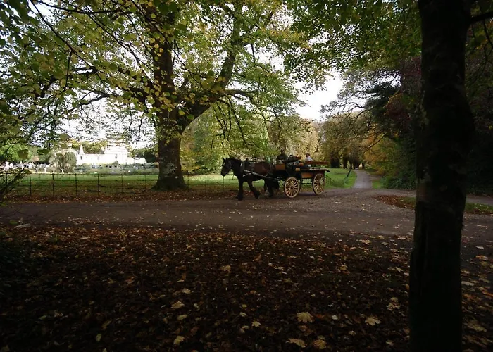 Ivy Steps From National Park Holiday home