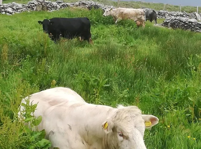 Ivy Steps From National Park *