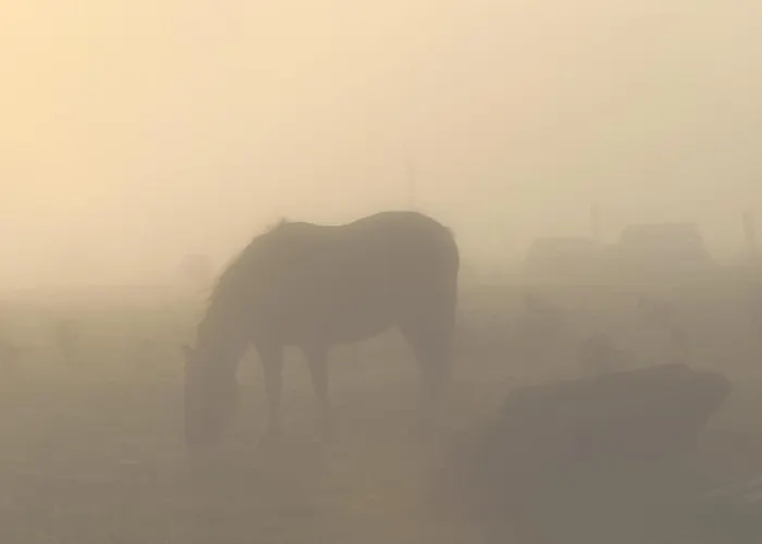 Ivy Steps From National Park Holiday home *