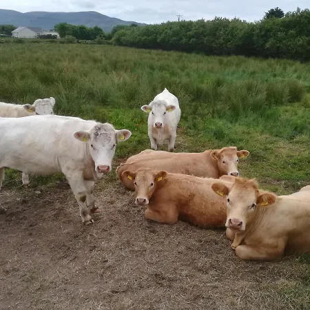 Ivy Steps From National Park Dom wakacyjny *