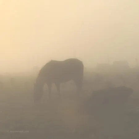 Ivy Steps From National Park Dom wakacyjny *